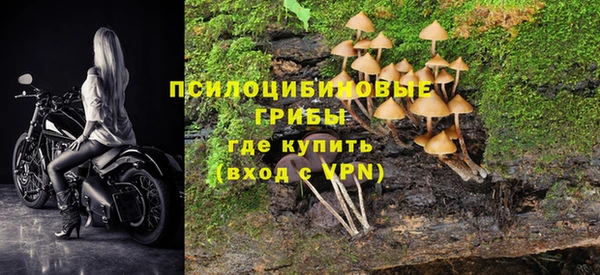 стаф Болотное