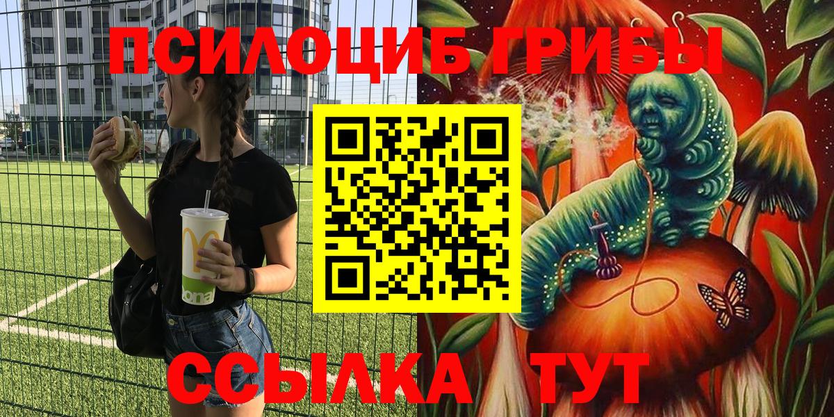 Галлюциногенные грибы Cubensis  Асбест  Галлюциногенные грибы GOLDEN TEACHER 